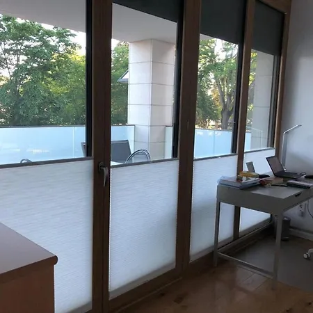 Exklusive Premium Mit Blick Auf Main *