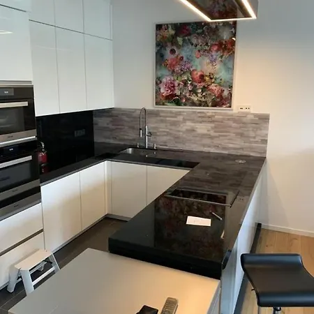 Exklusive Premium Mit Blick Auf Main