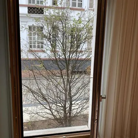 Apartment Exklusive Premium Mit Blick Auf Main